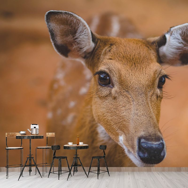 Deer Print Mildew Resistant Wall Mural Wild Animal Wallpaper Interior Wall Mural