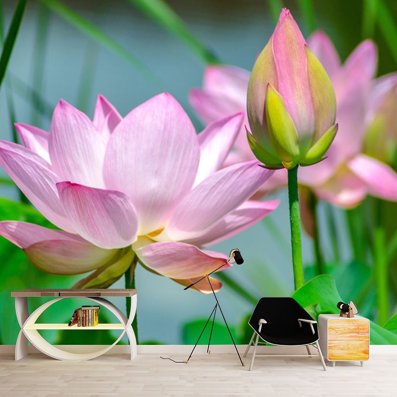 Horizontal Photography Lotus Wall Mural for Living Room Girls Women Bedroom