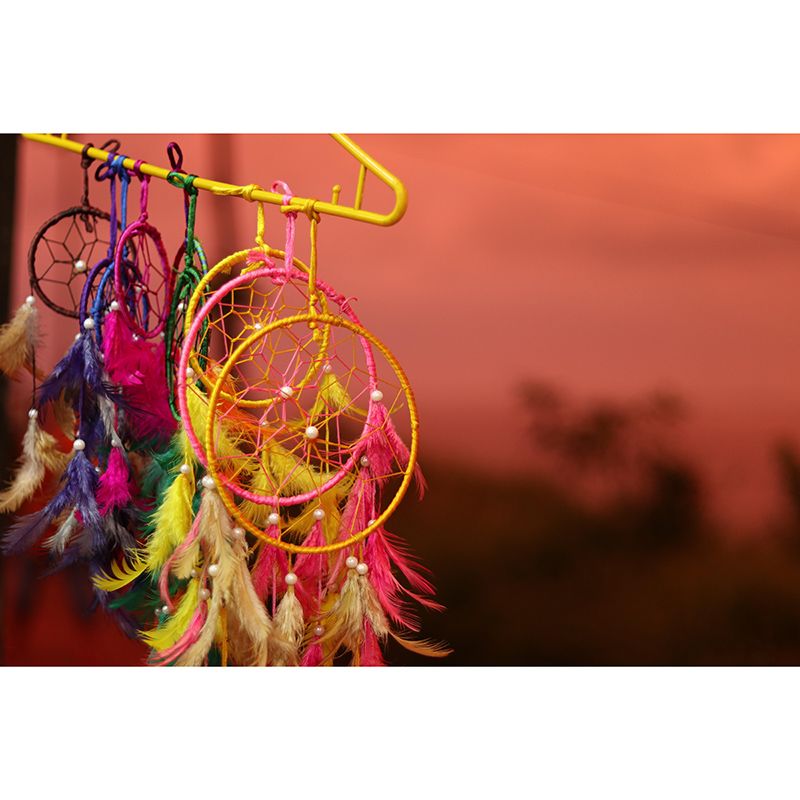 Photography Wall Mural Wallpaper Dream Catcher Sitting Room Wall Mural