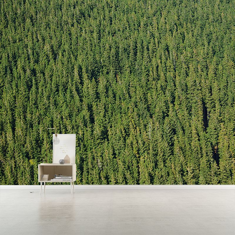 Light Color Forest Mural Contemporary Sleeping Room Wall Mural