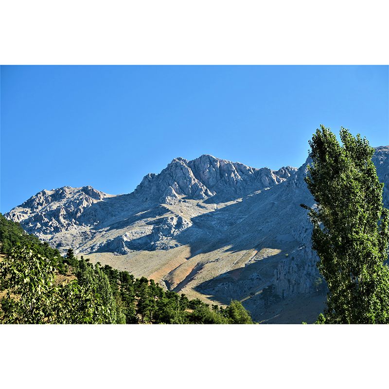 Modern Mountain Landscape Moisture Resistant Wall Covering for Sitting Room