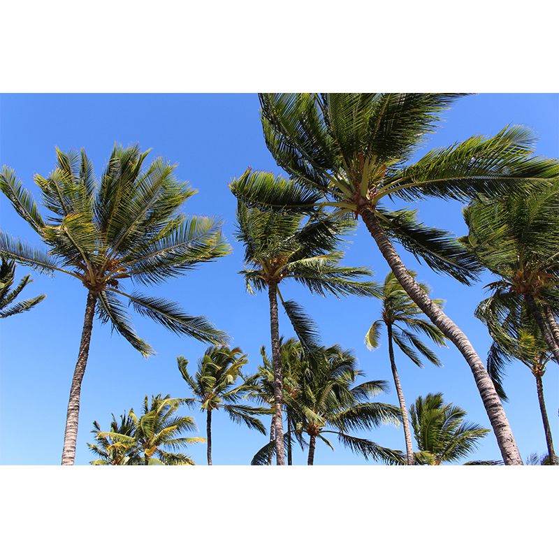 Tropical Trees Mural Decal Green Moisture Resistant Wall Decor for Living Room