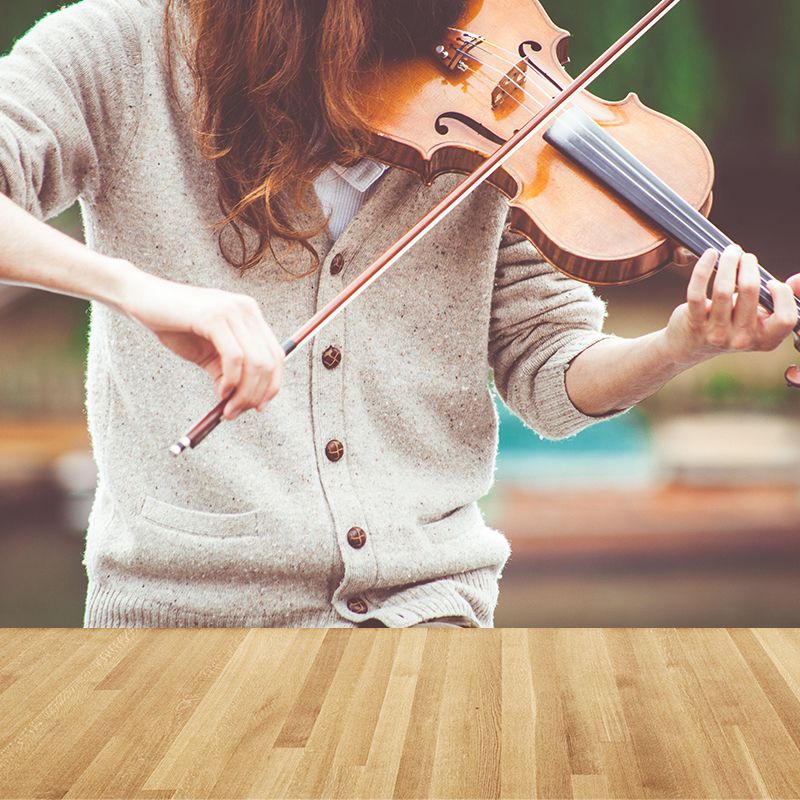 Contemporary Hobby Violin Mural Wallpaper Water Resistant Environment Friendly Wall Decor