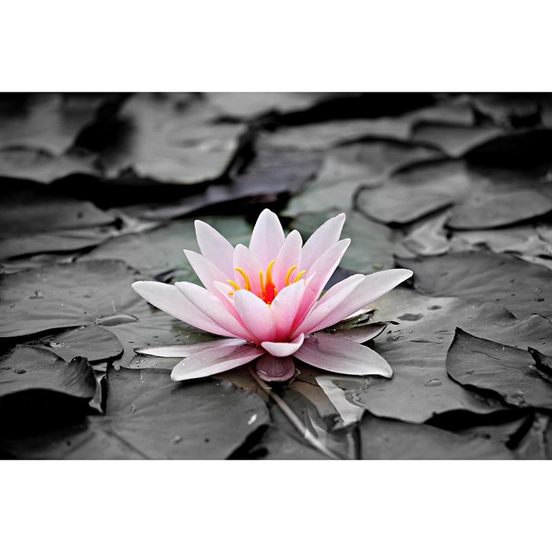 Papier peint Mural imprimé Lotus fleur moderne, revêtement Mural de couleur Pastel pour la décoration