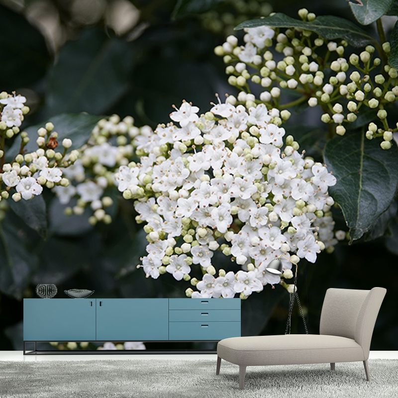 Viburnum Flower Wall Decor Mural Moisture Resistant Living Room Wall Covering
