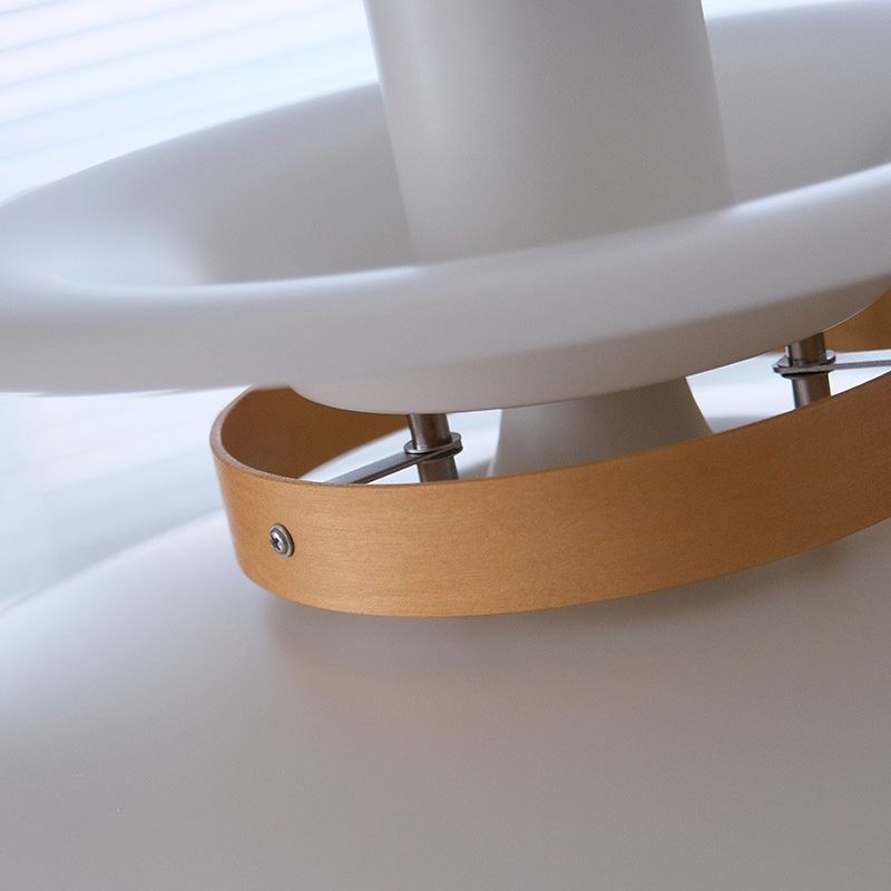 Moderne stijl hangend licht metaal hangend verlichtingsarmatuur voor zitkamer