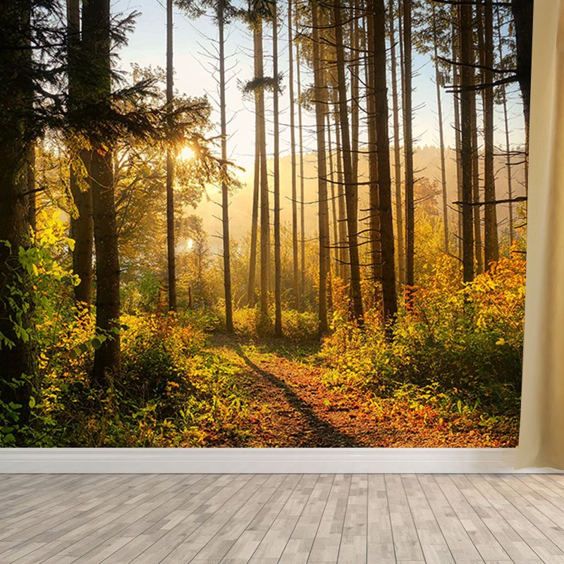 Forest Scenery Wall Mural Simple Moisture Resistant Wall Decor for Living Room