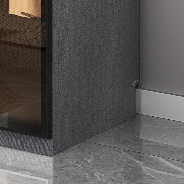 Modern Glass Wardrobe Cloth Rod Included Wardrobe Closet without Light