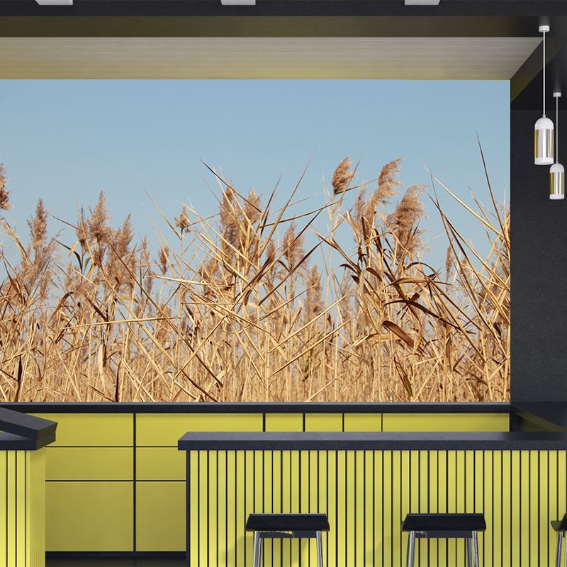 Contemporary Wheat Field Mural Wall Decor Mildew Resistant Wall Mural Wall Art