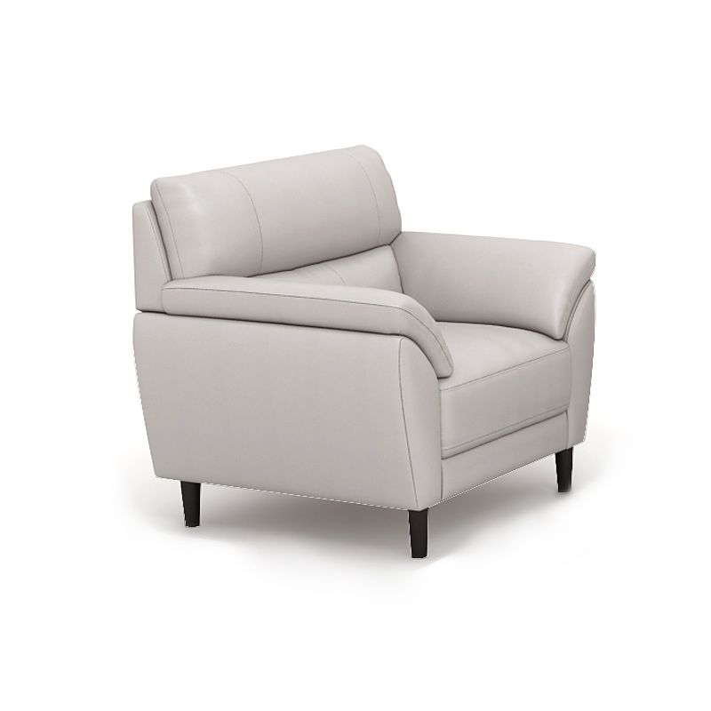 Sewn Pillow Back Pillow Top Arm Ultra-Modern Sofa with Stain Resistant