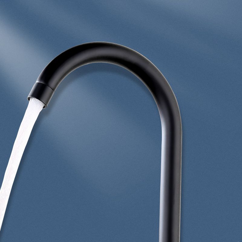 Modern Style Kitchen Faucet Stainless Steel Gooseneck Kitchen Faucet in Black