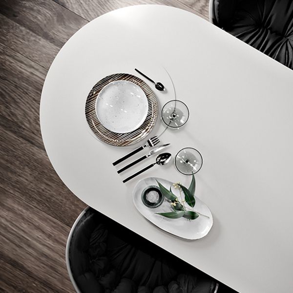 Contemporary Wood Top Oval Dinette Table White Base Dining Table for Living Room
