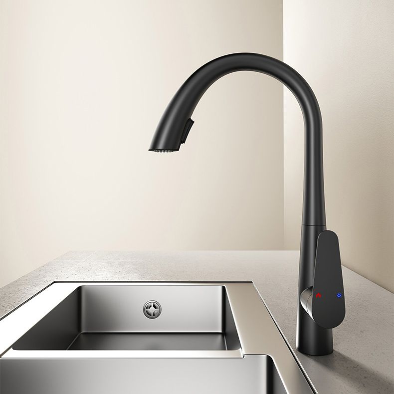 Modern Kitchen Faucet High Arc Swivel Spout with Pull Out Sprayer