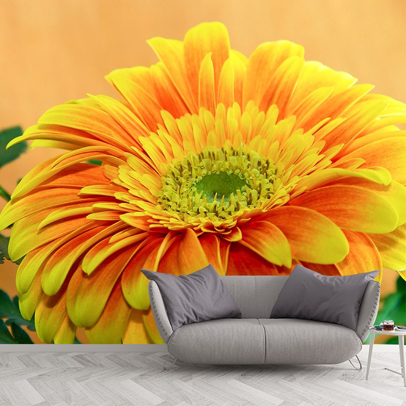 Chrysanthemum Removable Wall Mural for Girl's Bedroom, Custom Size Available