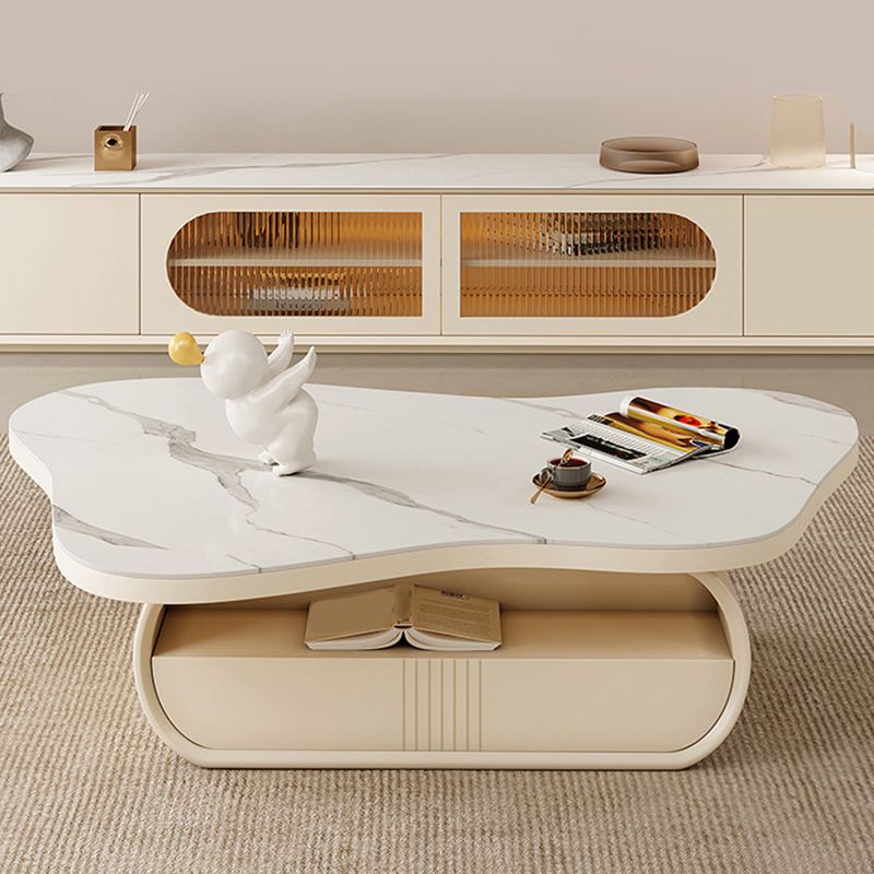 Pedestal Modern Slate Cocktail Table Free-Form Single Coffee Table with Shelf