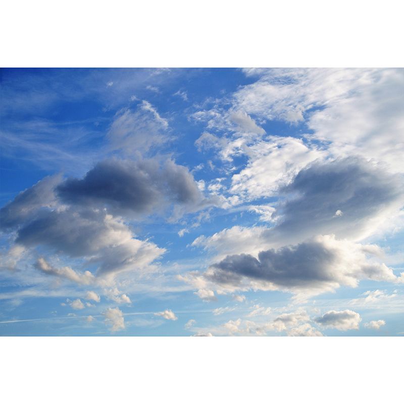 Sky Mural Cloud Mildew Resistant Contemporary Photography Room Wall Mural