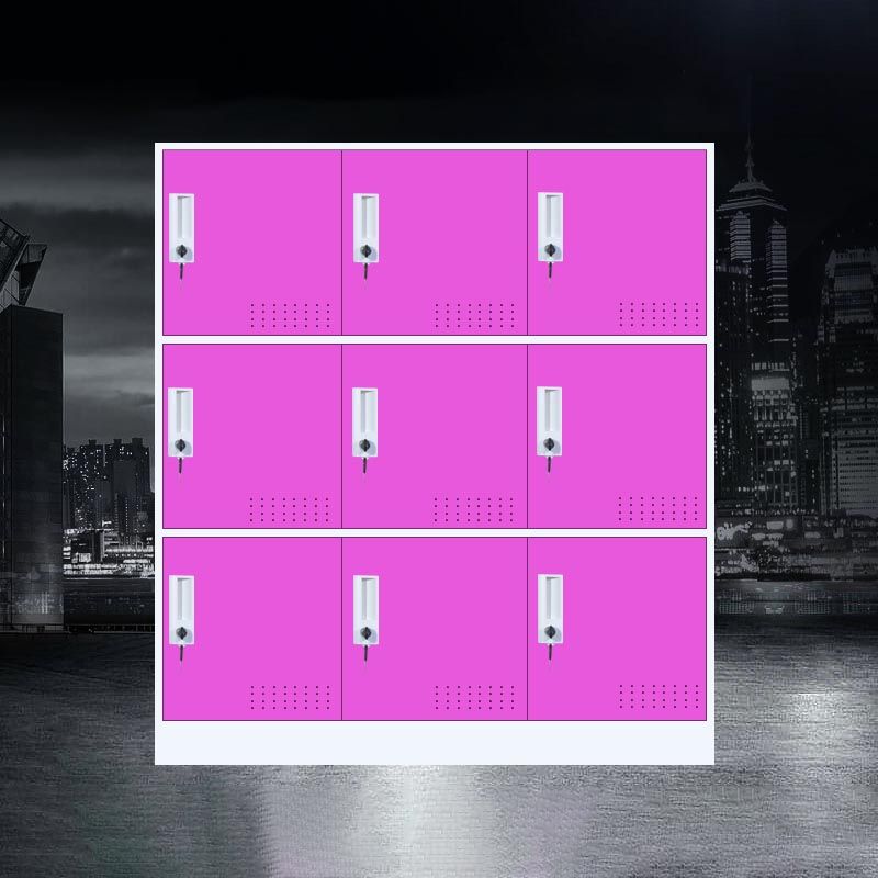 Indoor Non-Hanging Cabinet Contemporary Hinged Door Storage Cabinet