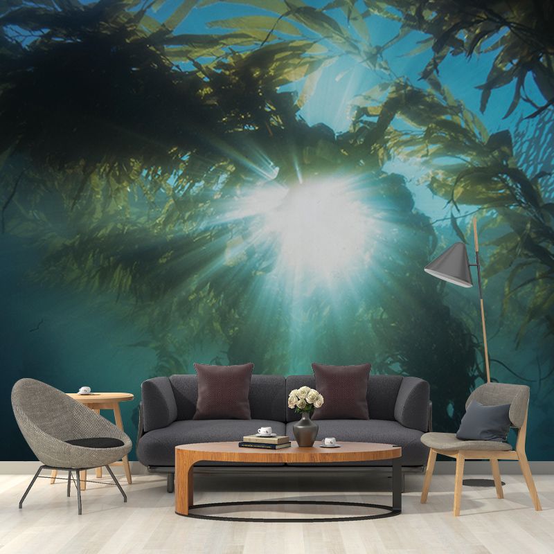 Mildew Resistant Wall Murals Seabed Photography Wall Murals for Bathroom