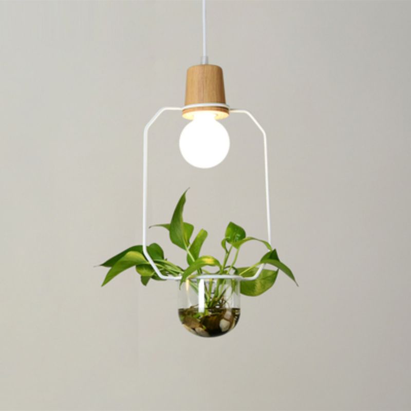 Planter Hanging Lamp Contemporary Clear Glass 1-Light Study Room Lighting Pendant