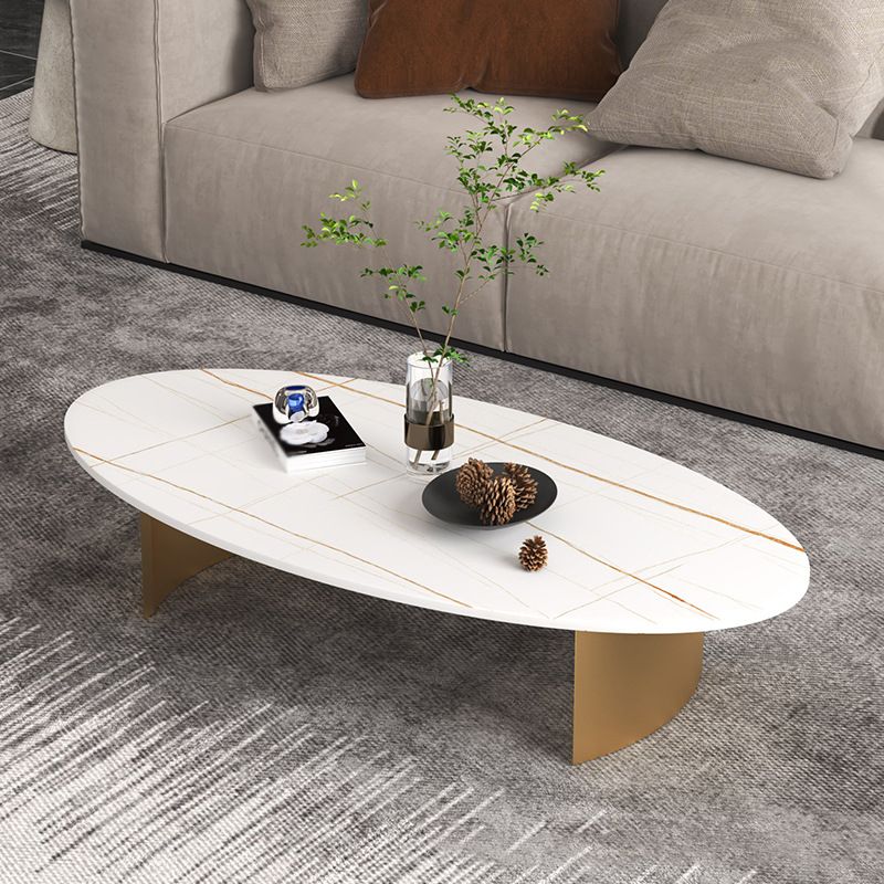 Modern Style Black Gold/white/grey Oval Coffee Table with Rock Board