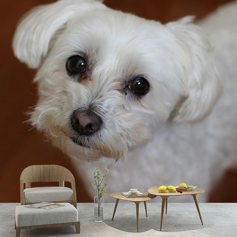 Horizontal Photography Bichon Frise Mural Stain Resistant Wall Art for Living Room