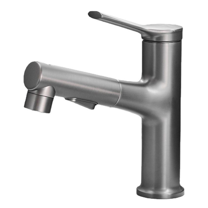 Contemporary Sink Faucet Pull-out Vessel Sink Faucet with Lever Handle