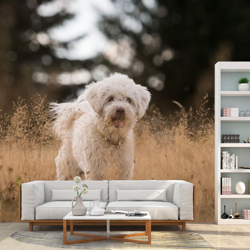 Cute Dog Mural Wallpaper Photography Mildew Resistant for Living Room Bedroom
