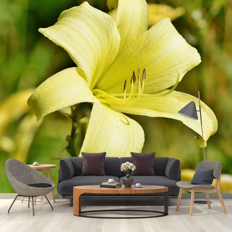 Modern Beautiful Lily Wall Mural Stain Resistant Wall Art for Living Room