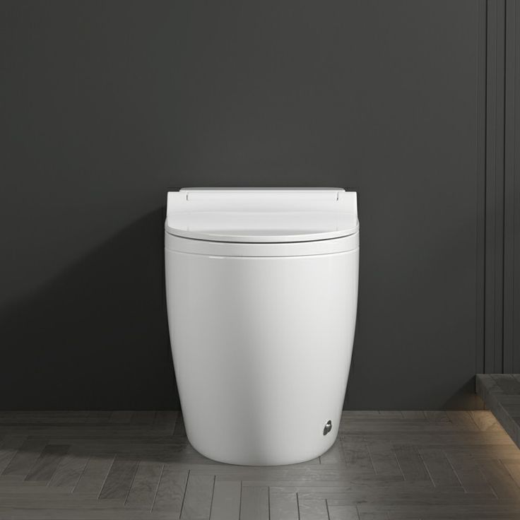 Modern Floor Mount Urine Toilet One Piece Toilet Bowl with Seat