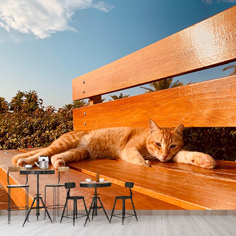 Cute Cats Mildew Resistant Mural Wallpaper Indoor Wall Mural