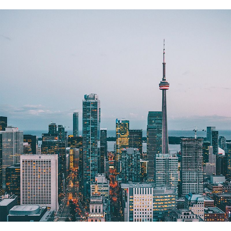 Whole Wall Mural Contemporary 3D Print City View from Office Wall Art in Natural Color