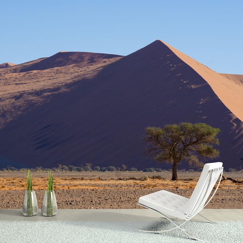 Soft Color Desert Mural Decal Nature Scenery Modern Mildew Resistant Wall Art