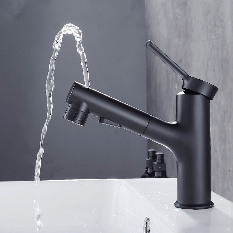 Contemporary Sink Faucet Pull-out Vessel Sink Faucet with Lever Handle
