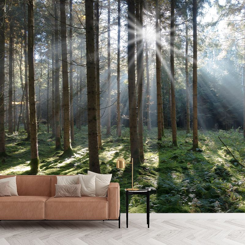 Customized Forest Mural Wall Covering Decorative Mildew Resistant for Bedroom