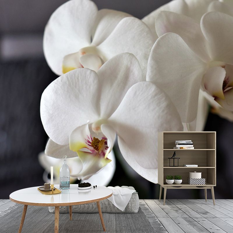 Girl's Bedroom Orchid Mural Personalized Size Minimalist Wall Decor, Personalized Size