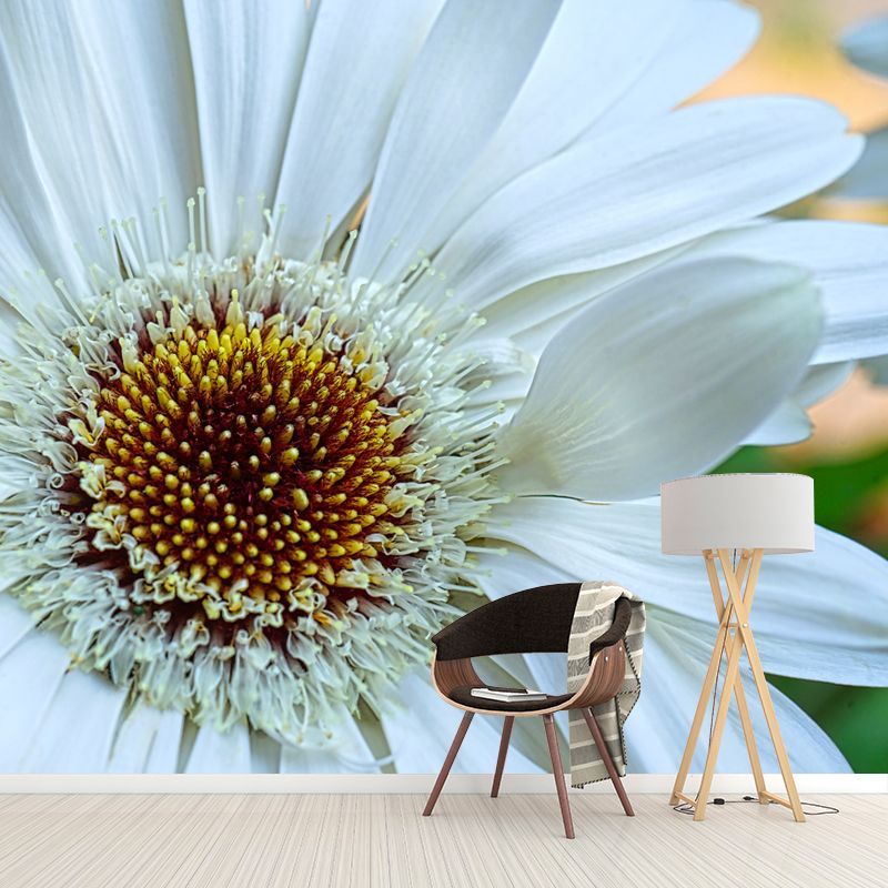 Dahlia Flower Simple Mural for Bedroom Stain Resistant, Made to Measure