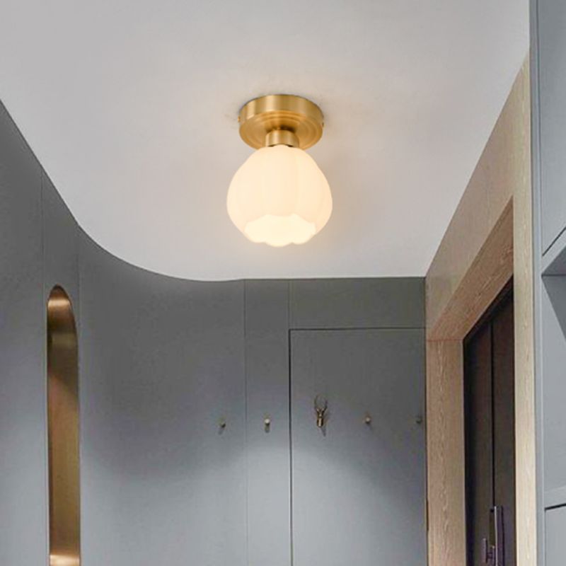 Modern Simple Metal Ceiling Light Ball Shape Ceiling Lamp for Living Room
