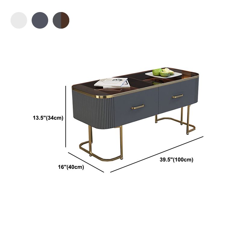 Contemporary Coffee Table with Storage Drawer and Golden Frame Base