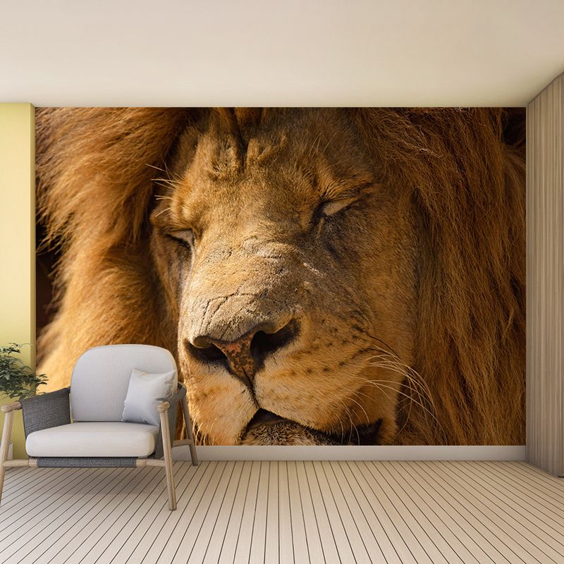 Modern Lion Face Portrait Mural Wall Decor Mildew Resistant Living Room Wall Mural for Wall Decor