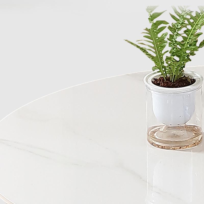 Metal Traditional Luxury Round Table for Dining Room Stone Top Table with Pedestal