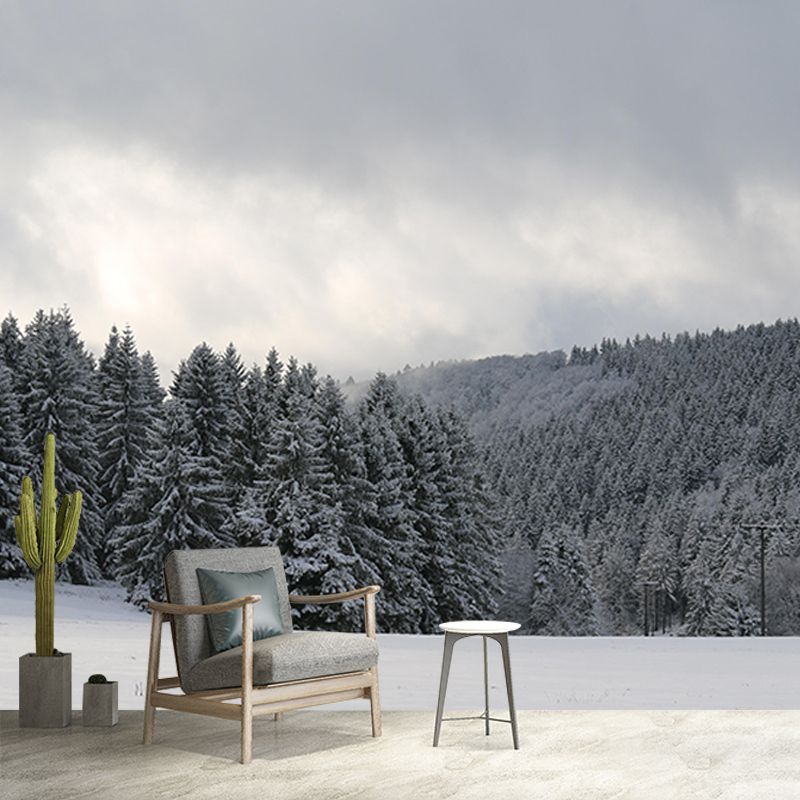 Beautiful Forest Mural Contemporary Photography Sleeping Room Wall Mural