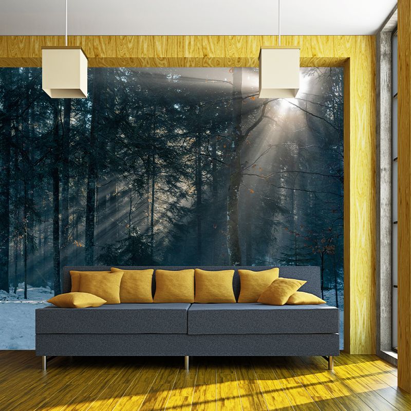 Natural Landscape Wall Mural Contemporary Decorative Living Room Wall Art