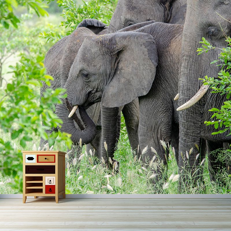Elephant Animal Mural Wallpaper Stain Resistant Wall Covering for Living Room