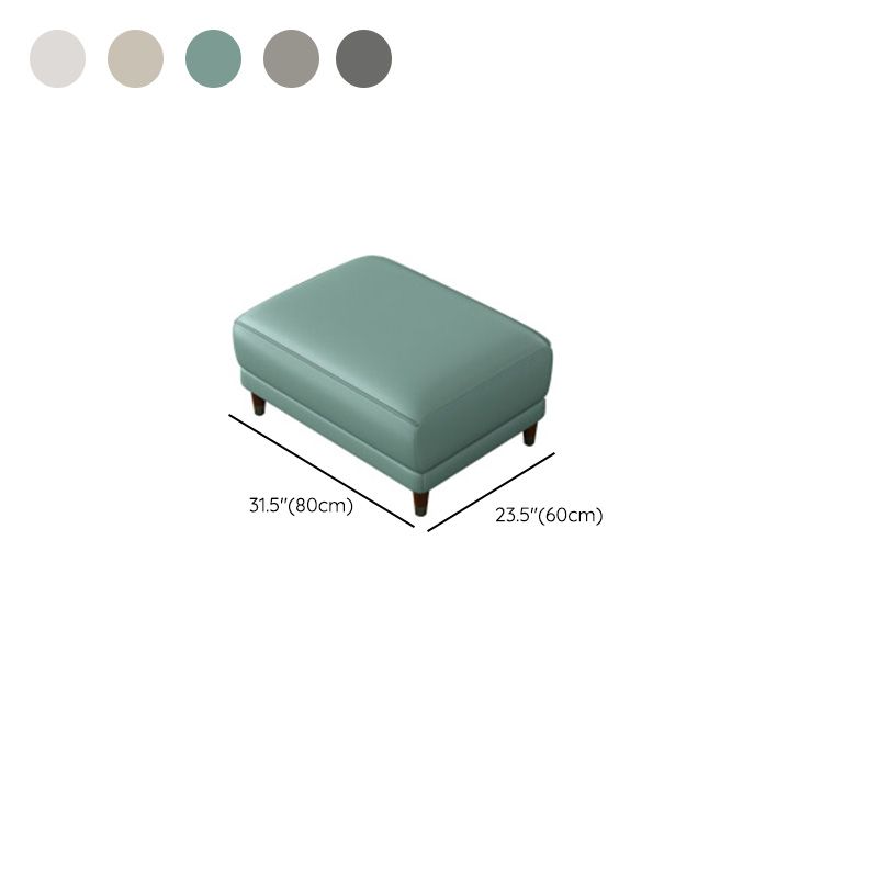 Contemporary Sectional Sofa Pillow Top Arm Sofa for Living Room