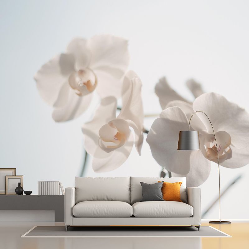 Customized Blooming Orchid Mural Wallpaper Contemporary for Guest Room Decor