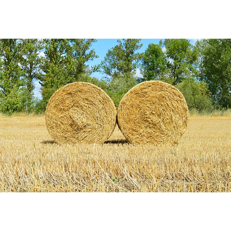 Dry Straw Bales Mural Wallpaper Modern Mildew Resistant for Fireplace Decor