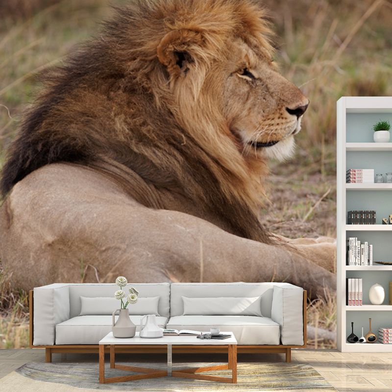 Lion Lies in Savanna Mural Brown Modern Wall Art for Bedroom, Customized Size Available