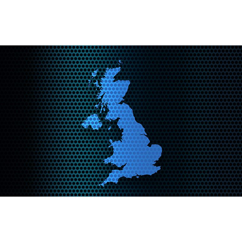 Map Illustration Wall Murals for Meeting Room Office Wall Art, Made to Measure