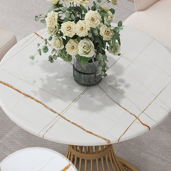 Glam Style Sintered Stone Dining Set 1/2/3/4/5 Pieces Dining Set for Home Use