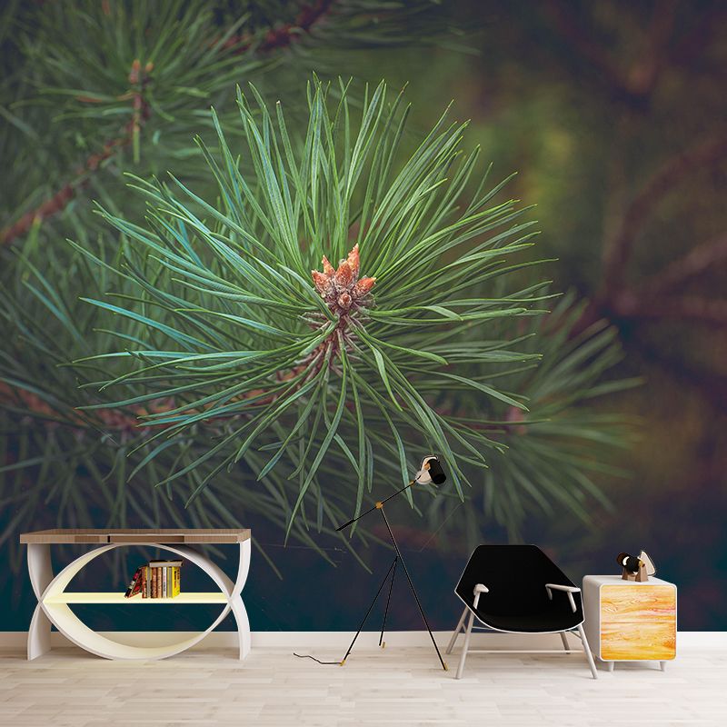 Photography Plant Mural Wallpaper Pine Leaves for Reading Room Bedroom Home Decor